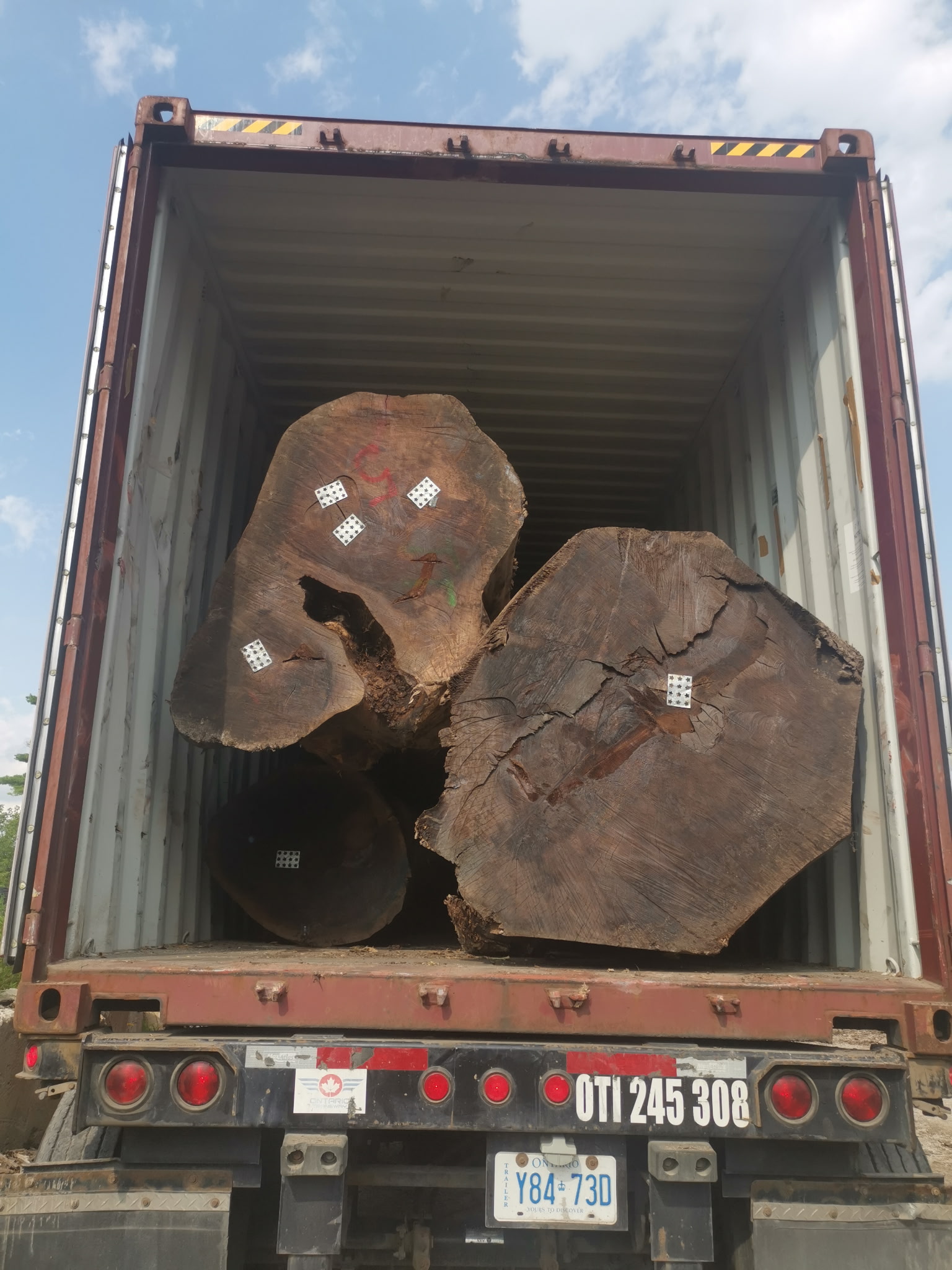 American hardwood logs